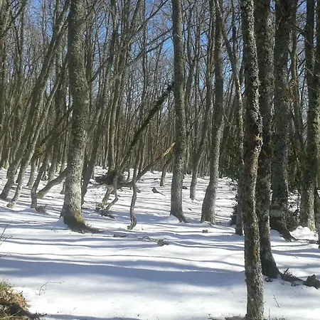Mimenza
